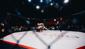 Yan Triumphs at UFC Fight Night in Macao