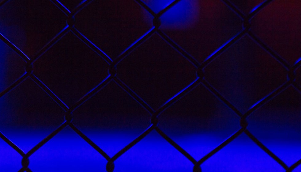 Matt Riddle Contemplates MMA Return in 2024 Amidst Wrestling Success